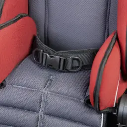 2punts heupgordel met trekkoord aan de voorzijde