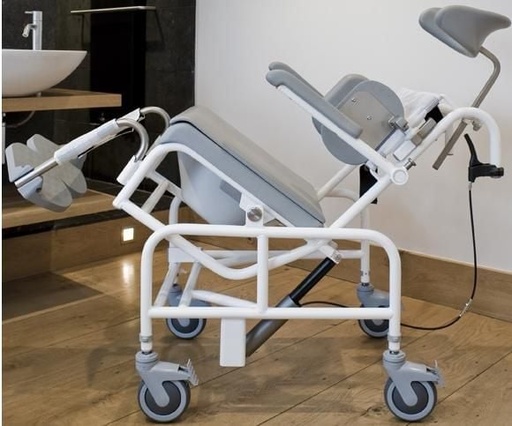 Manually positionable shower/toilet chair