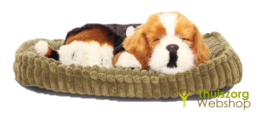 Animal de compagnie réaliste (différentes races)