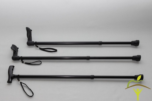 Bâton de marche pluviose 2 pièces