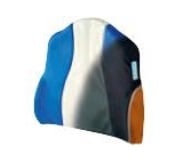 Multiportance visco-elastische rugleuning, 